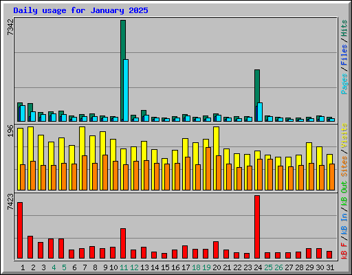 Daily usage for January 2025