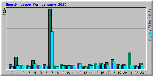 Hourly usage for January 2025