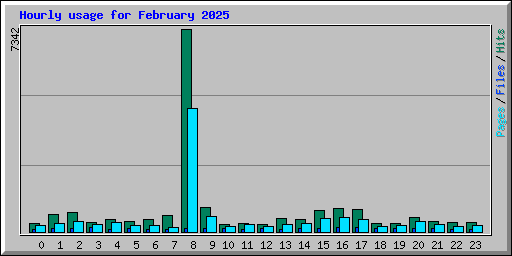 Hourly usage for February 2025