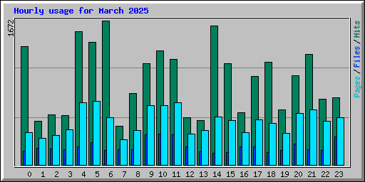 Hourly usage for March 2025