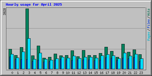 Hourly usage for April 2025