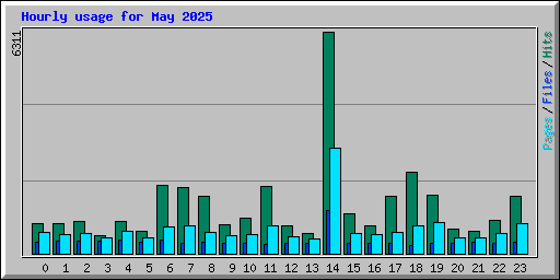 Hourly usage for May 2025