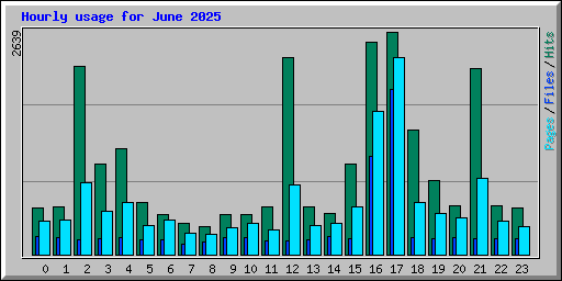 Hourly usage for June 2025