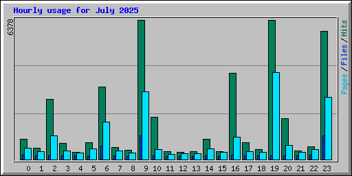Hourly usage for July 2025