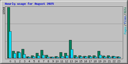 Hourly usage for August 2025