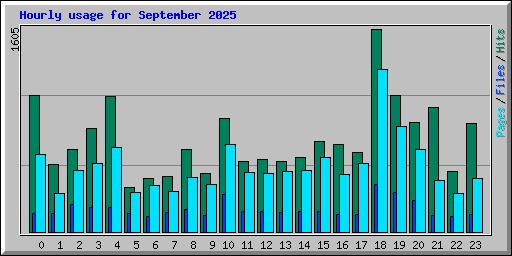 Hourly usage for September 2025