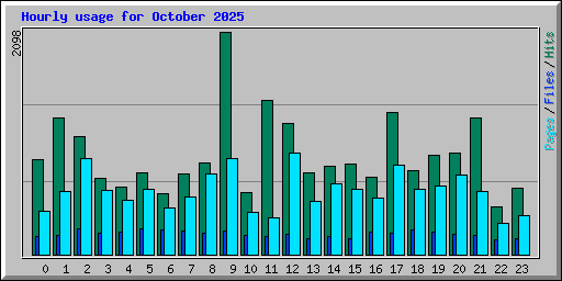 Hourly usage for October 2025