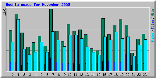 Hourly usage for November 2025